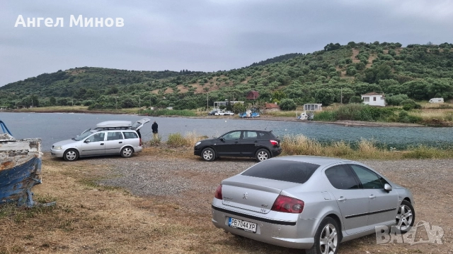 Джанти 17 цола с гуми 215/55 летни за Пежо 407, снимка 5 - Гуми и джанти - 52189961