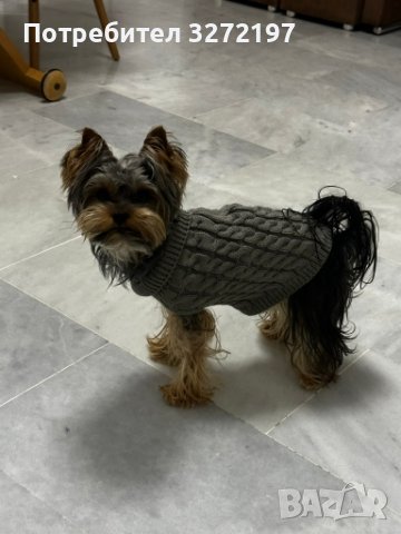 Toпъл пуловер за куче - високо качество, снимка 15 - За кучета - 41015299