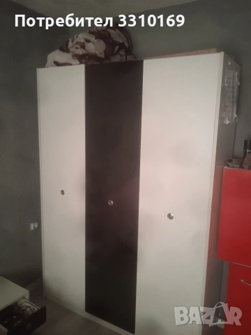 стая под наем , снимка 4 - Стаи под наем - 53473367