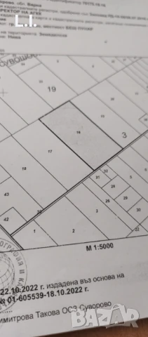 Земеделска земя  30 декара, Суворово/Вълчи Дол , снимка 7 - Земеделска земя - 51201201