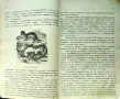 Малки разкази за животни и растения. Кн. 1-4 Стефанъ Велчевъ /1929/, снимка 2