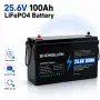 Батерия LIFEPO4 24V 100Ah - нова с 1година гаранция, снимка 1