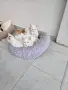Подарявам котенца, снимка 1
