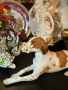 Lomonosov USSR Circa 1950 porcelain English Pointer dog - изящен и огромен сетер Код P1681, снимка 7