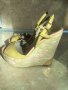 Луксозни, бутикови, оригинални дамски обувки  VERSACE  №36, снимка 1 - Дамски елегантни обувки - 26288550