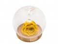 Стъклена кутия за декорация ЯБЪЛКА с дървена подложка, снимка 1 - Романтични подаръци - 39872835