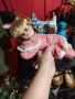 Реалистична порцеланова кукла , снимка 2