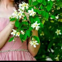 Бална рокля цвят  пепел от рози , снимка 1 - Рокли - 41983344