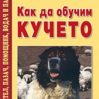 Как да обучим кучето, снимка 1 - Специализирана литература - 17519936