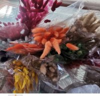 Сноп 10 бр натурален Овален лагурус Заешка опашка пухчета декорация аранжиране ваза букет цветя сухи, снимка 13 - Изкуствени цветя - 29744349