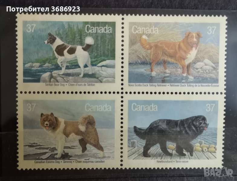 Канада кучета-1988г.Блок., снимка 1