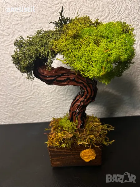Бонсай със скандинавски мъх , снимка 1