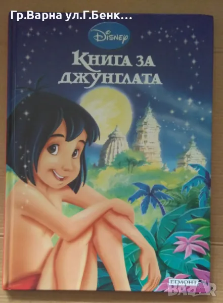 Книга за джунглата  Диснер 10лв, снимка 1