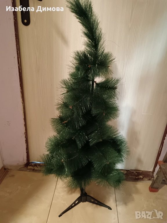 Зелена елха, снимка 1