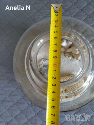 Аквариум -3л, снимка 5 - Аквариуми - 51018760