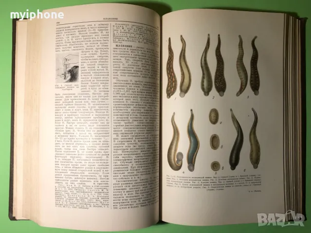 Стара Книга Голяма Медицинска Енциклопедия А.Бакулев на Руски, снимка 5 - Специализирана литература - 49309740