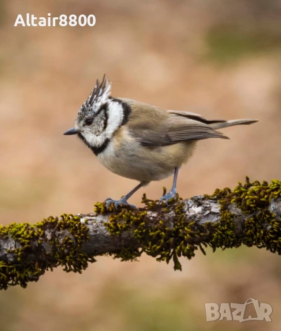 Nikon AF-S 18-200mm f/3.5-5.6G ED VR обектив Никон, снимка 7 - Обективи и филтри - 52515250