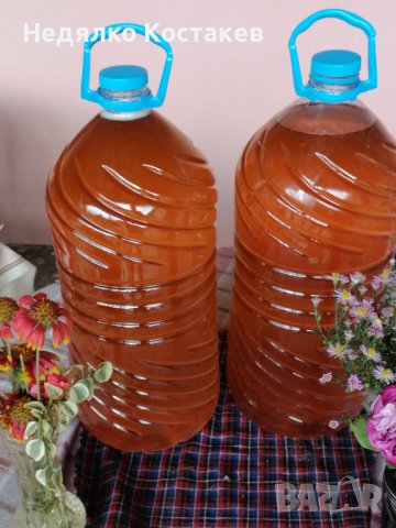 Слънчогледов Шарлан 