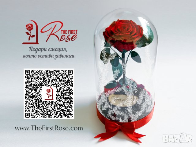 Вечна Роза (ЕСТЕСТВЕНА) в ГОЛЯМА стъкленица / Уникален подарък за рожден ден на жена, снимка 3 - Декорация за дома - 32673595