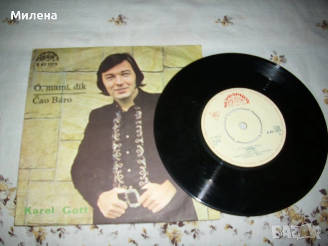 Грамофонни плочи, снимка 6 - Грамофонни плочи - 53666977