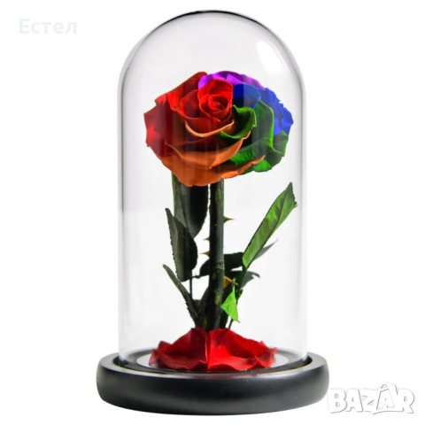 Вечна роза, снимка 1 - Декорация за дома - 44556772