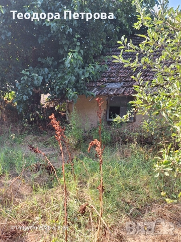 Парцел със стара къща за събаряне, снимка 8 - Парцели - 41017971