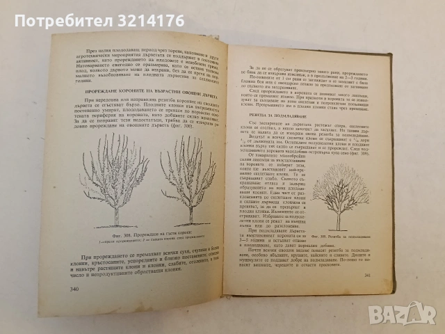 Нагледно ръководство по овощарство. Второ преработено и допълнено издание - Цочо Спасов, снимка 7 - Специализирана литература - 53581681