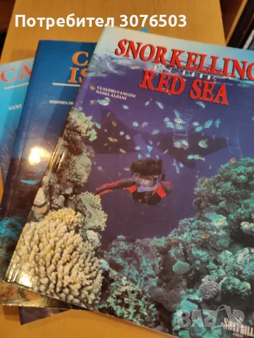 Diving Guides x3, снимка 3 - Специализирана литература - 47936935
