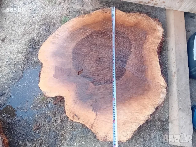 янове орех,дъб,бук,акация,догласка, снимка 13 - Декорация за дома - 39580747