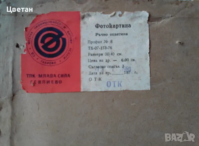 Ръчно оцветена българска фотокартина с грозде от 1981 г., снимка 2 - Декорация за дома - 49097135