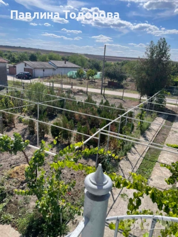 "ПРЕСТИЖ-П"ЕООД ПРОДАВА ВИЛА В СЕЛО ПОЛ.МИНКОВО, снимка 3 - Къщи - 52570618