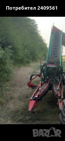 Косачка за лавандула 