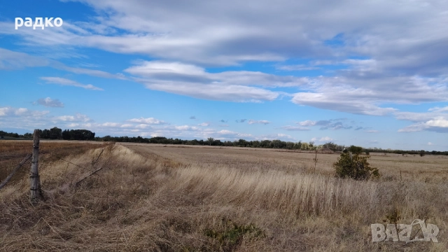 Лозе и нива до Пловдив, снимка 9 - Земеделска земя - 52655866