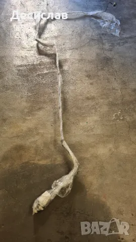 Части за Нисан Алмера тино -Фейслифт, снимка 10 - Части - 47915975