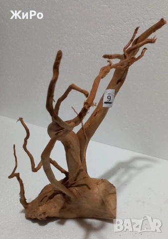 Корен от Азалия /декорация/ 9