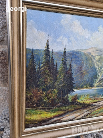 картина планински пейзаж маслени бои върху платно , снимка 5 - Картини - 53861518