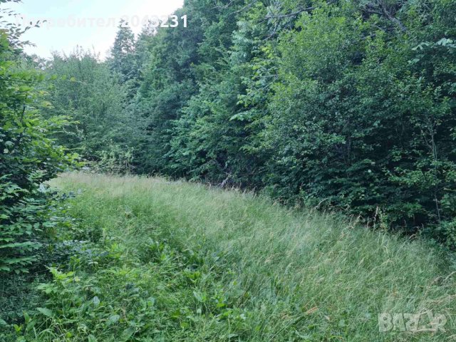 Парцел в регулация Габрово с. Мечковица, снимка 6 - Парцели - 42559107