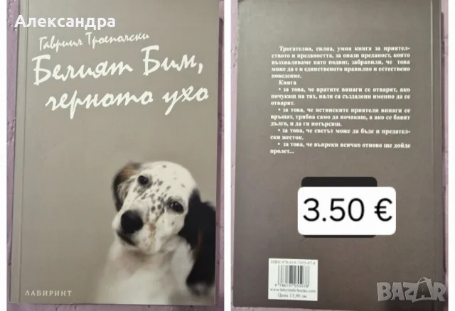 Съвременна художествена проза, снимка 12 - Художествена литература - 56172539