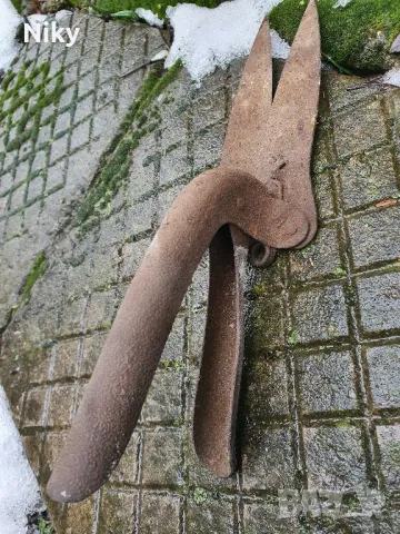 Стара ножица , снимка 3 - Антикварни и старинни предмети - 49315387