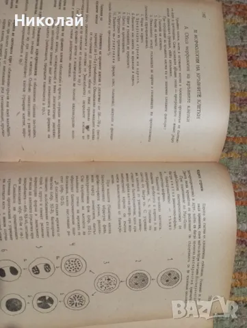 Основи на микро педиатрията ( болести на първото детство ), снимка 11 - Специализирана литература - 47932904