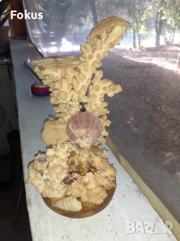 Статуетка от натурален бял корал, снимка 4 - Антикварни и старинни предмети - 53457098