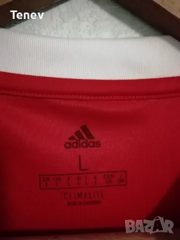 Бенфика оригинална нова футболна тениска фланелка L Adidas Benfica , снимка 6 - Тениски - 49681458