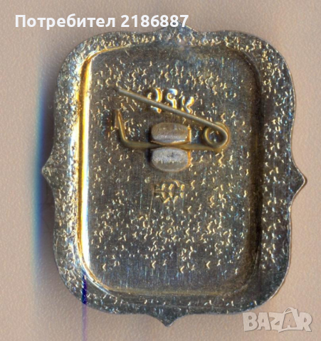 Значка Кострома. Парк-отель "Берендеевка, снимка 2 - Колекции - 36295864