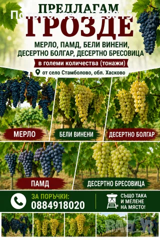 Предлагам грозде