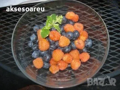 20 Семена от Британска Есенна Златна Малина Златни витаминозни Сладки Малини от Колумбия плодове, снимка 10 - Сортови семена и луковици - 50220808