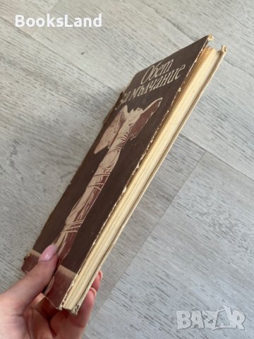 Обет за мълчание Ваня Петкова, снимка 4 - Българска литература - 44252350