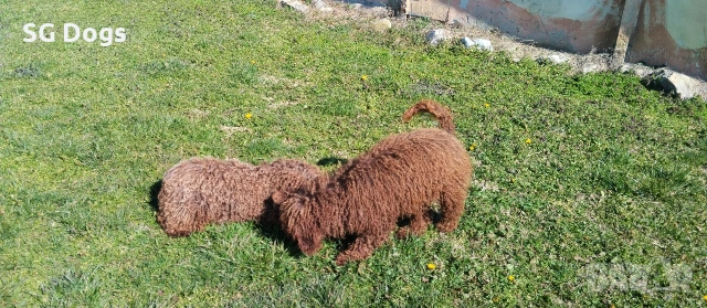 продавам лагото, снимка 8 - Други - 53779021