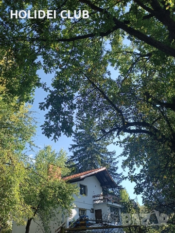 Продава  етаж от къща с.Владая, снимка 7 - Етаж от къща - 51890868