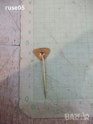 Значка "Snaha Brno - 1920-50-1970", снимка 3 - Колекции - 50924124