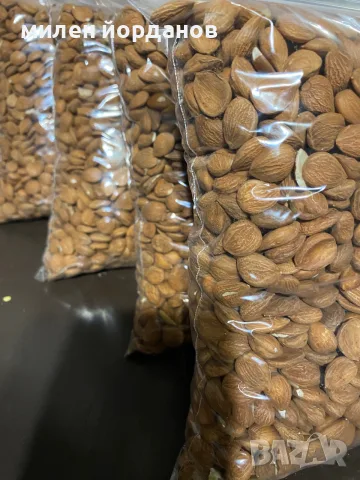 Горчива кайсиева ядка, снимка 2 - Домашни продукти - 56335744